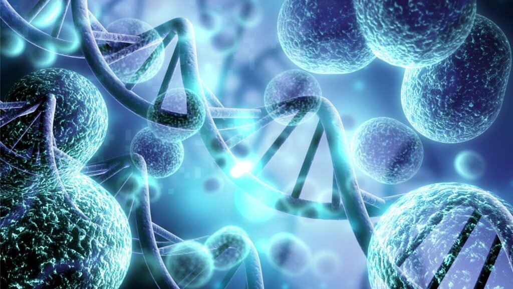 Cell and gene therapy